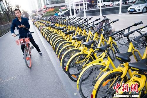 833805bc7da04aa793f96440017f8881